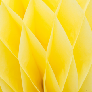 Yellow Tomato