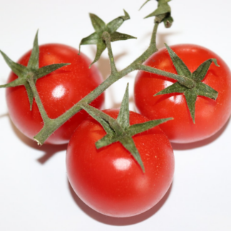 Cleaner Blender Tomato