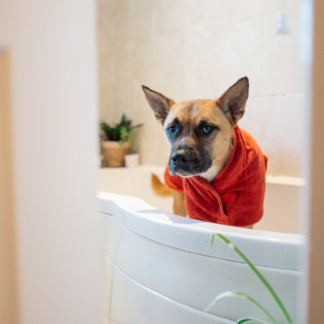 Shampoo ACME