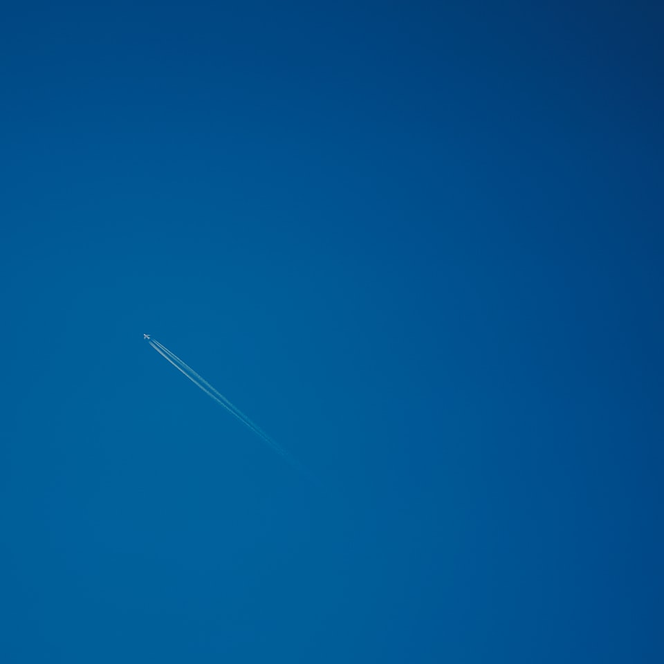 Pumpkin Blue