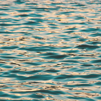 Water DVD