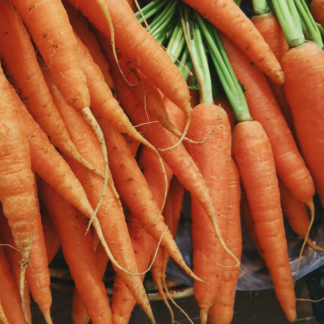 Carrot Washer