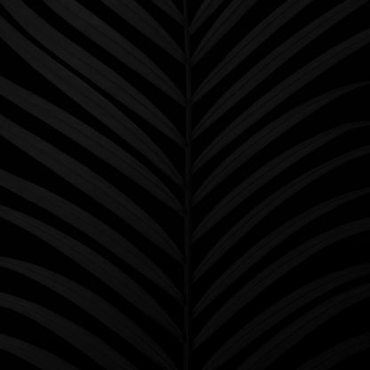 Bed Black