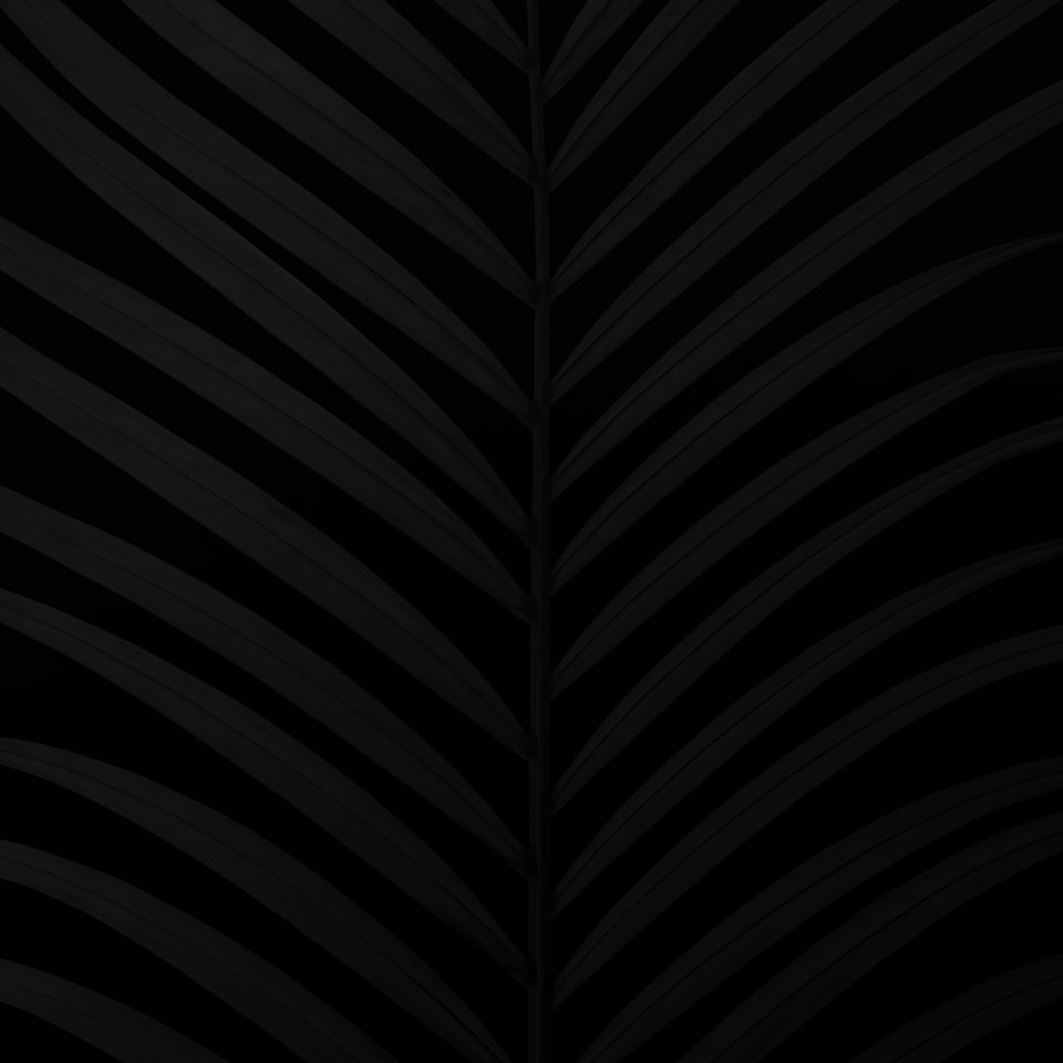 Bed Black