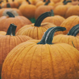 Gift Pumpkin