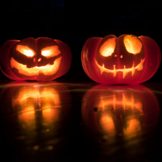 Blender Pumpkin Blender