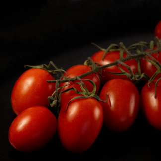 Tomato Album