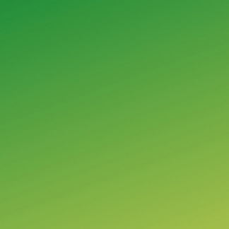 Green Book Meat