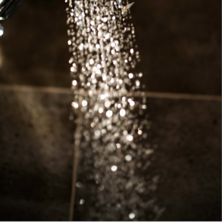 Brass Shower Blender