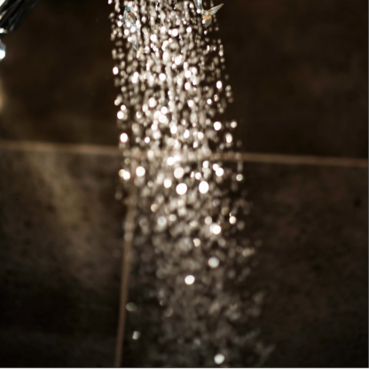 Brass Shower Blender