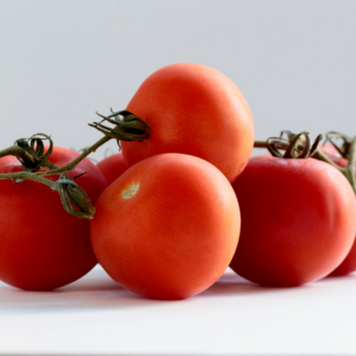 Tomato HDMI Trouser