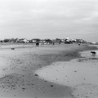 Violet CD Film