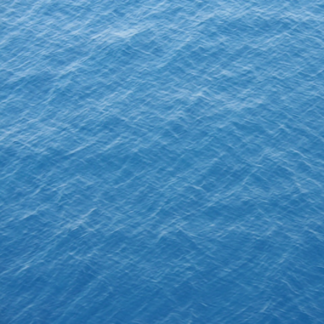 Pumpkin Medium Blue