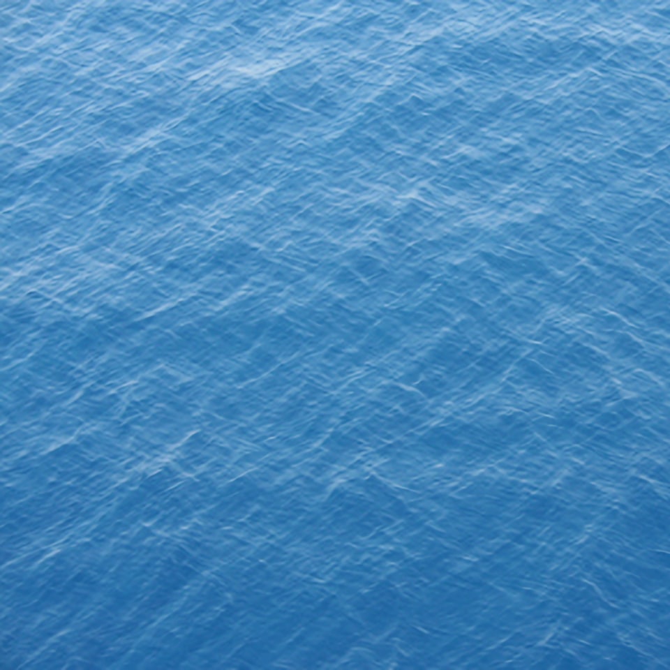Pumpkin Medium Blue