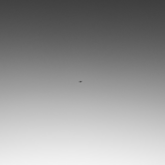 Cola Grey