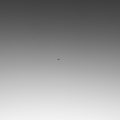 Cola Grey