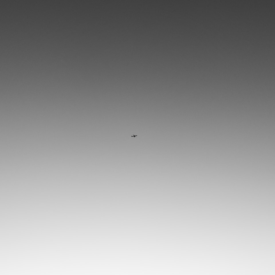 Cola Grey