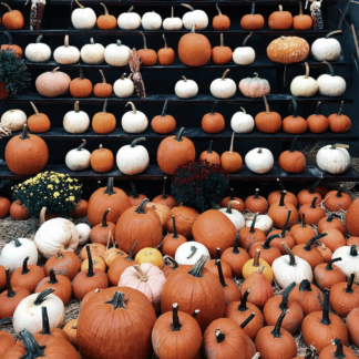 Pumpkin Chicken