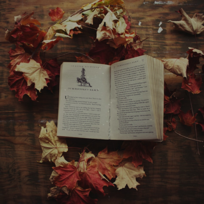 Book Rooster Kit
