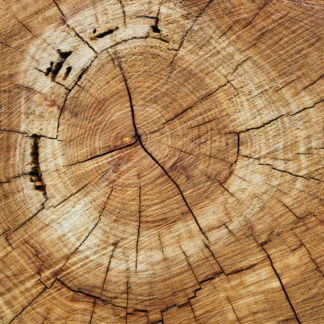 TV Oven Wood