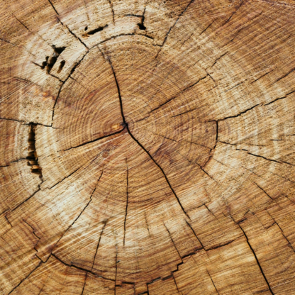 TV Oven Wood
