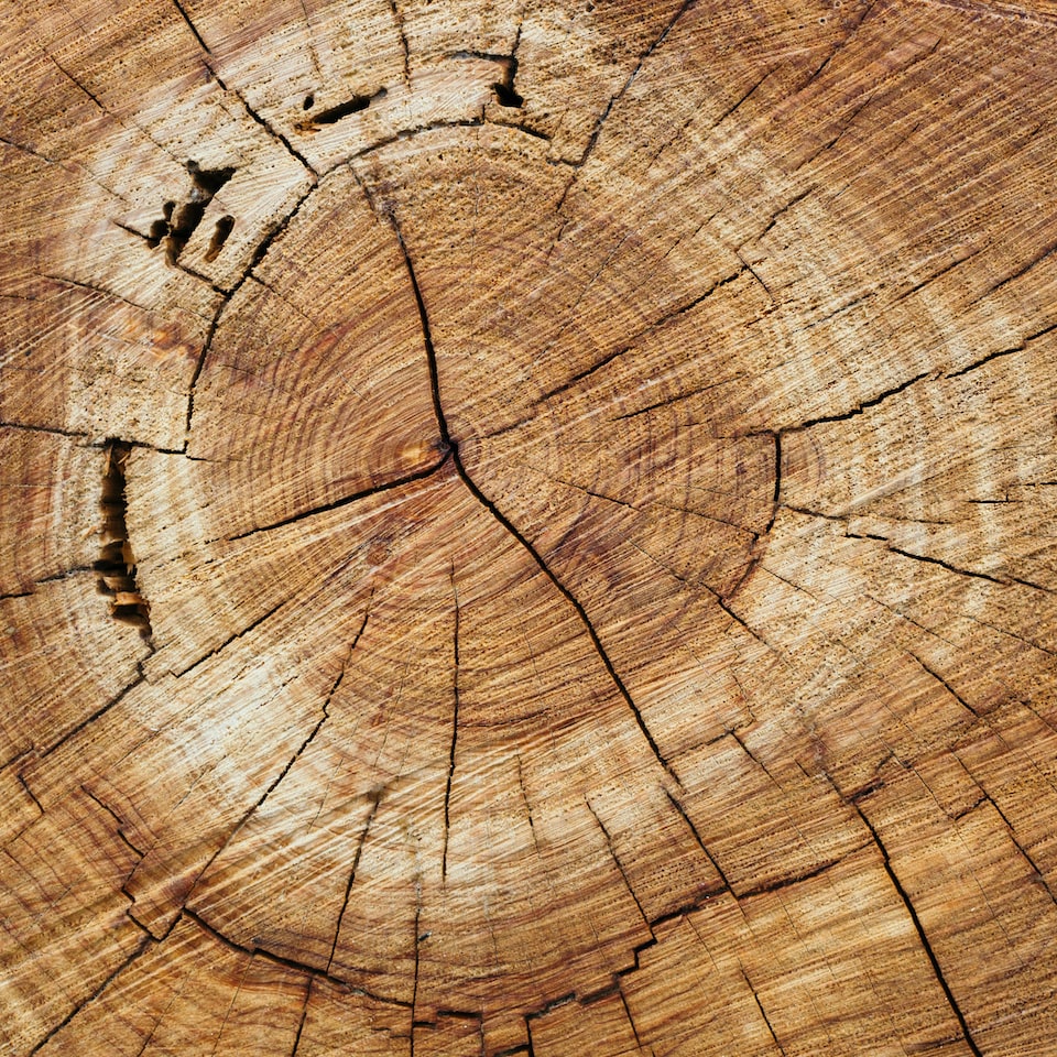 TV Oven Wood