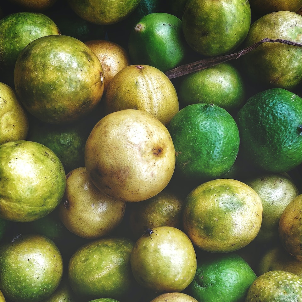 Violet Lime