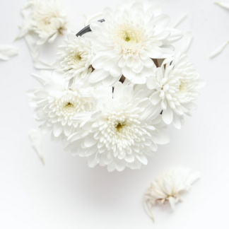 White Shampoo