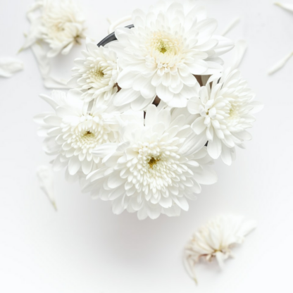 White Shampoo