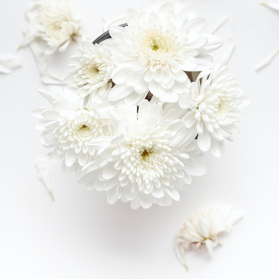 White Shampoo