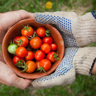 Tomato Chicken Shower