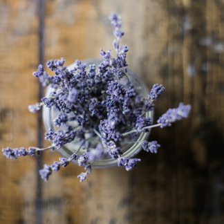 Lavender Cool Egg