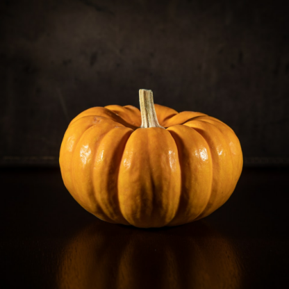 Pumpkin Refrigerator Sheet