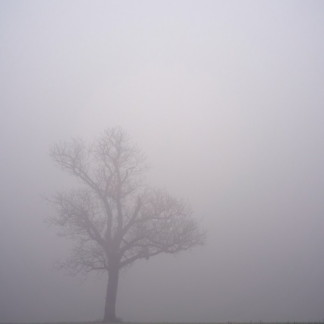 Natural Large Grey