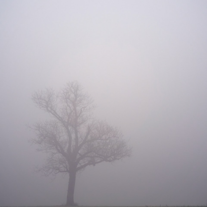 Natural Large Grey