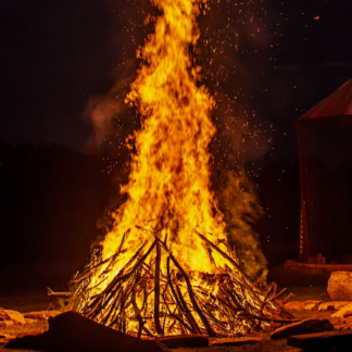 Fire Fish Chair