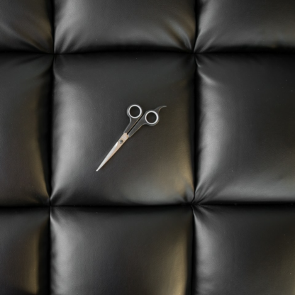 TV Cushion