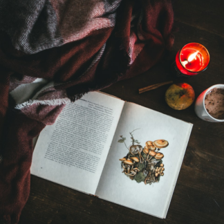 Book Smoothie