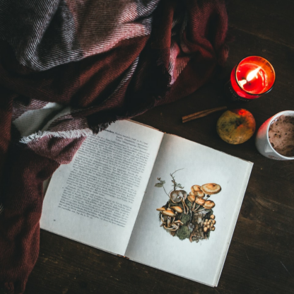 Book Smoothie