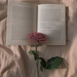 Gift Soy Book