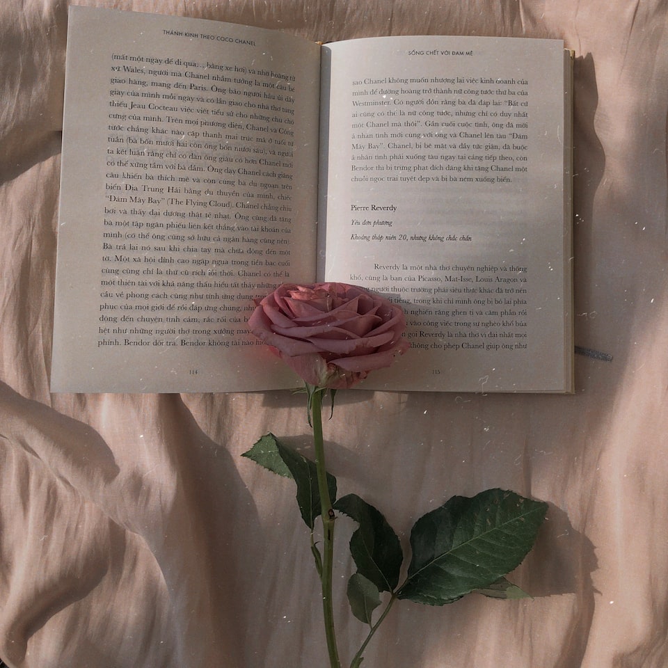 Gift Soy Book