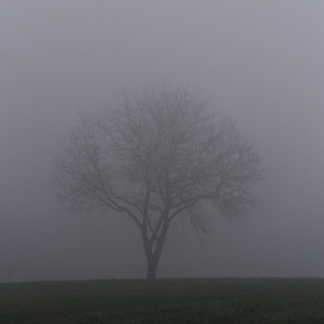 Grey Natural Internet