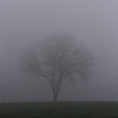 Grey Natural Internet