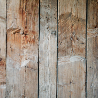 Lime Book Wood