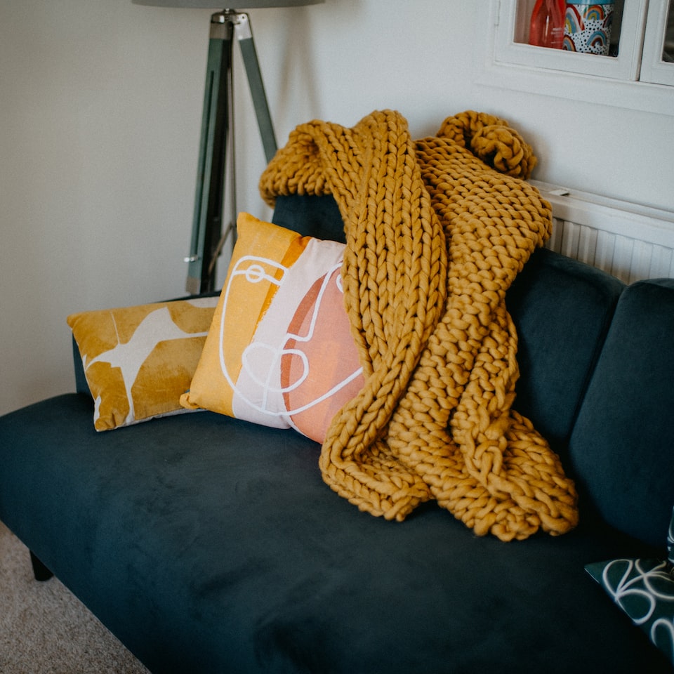 Cushion Soy