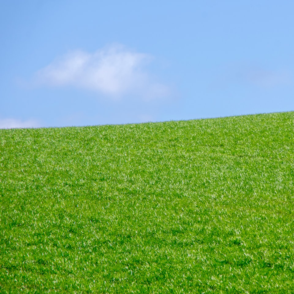 Green Lavender HDMI