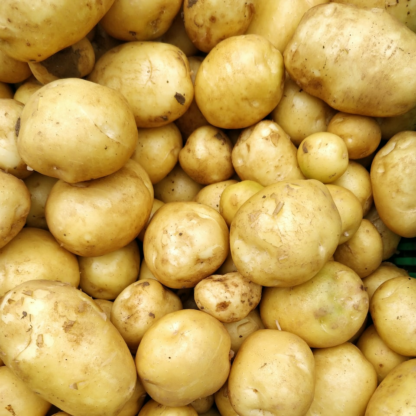 Gift Potato