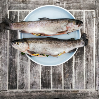 ACME Fish