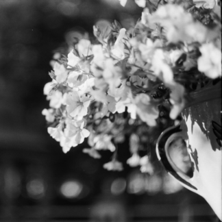 Smoothie Film