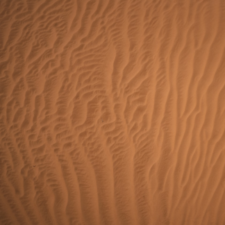 Blender Egg Brown